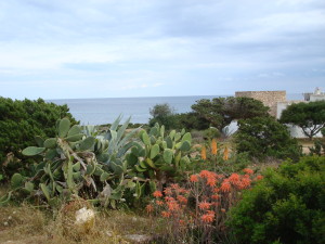 DSC04020