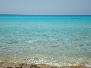 DSC04437